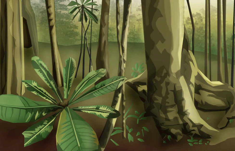 Tropical Dry Forest